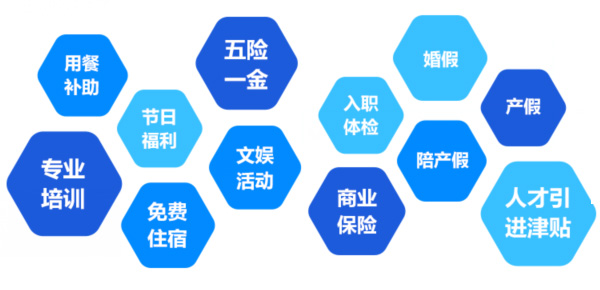 提供全面、系統(tǒng)、專業(yè)的培訓(xùn)和廣闊的<br>職業(yè)發(fā)展空間和提升機(jī)會